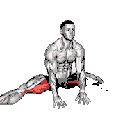Sitting Wide Leg Adductor Stretch