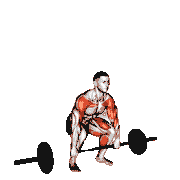 Barbell Full Clean demonstration