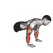 Plyometric Push-Ups