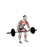 Barbell Hang Snatch
