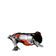 Rotating Stomach Stretch