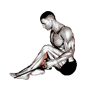 Peroneals Stretch