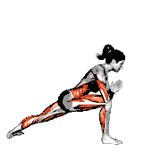 Revolved Side Angle Pose