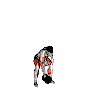 Dumbbell One-Arm Snatch