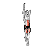 Hanging Straight Leg Raise