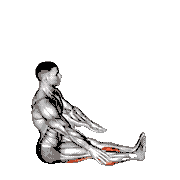 Seated Forward Bend Yoga Pose