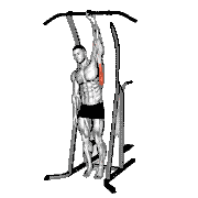 One-Handed Hang Stretch