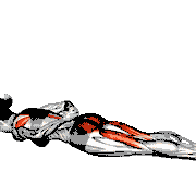 Locust Pose