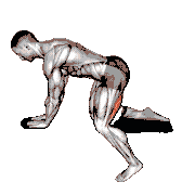 Bench Hip Extension