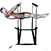 Front Lever