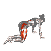 Kneeling Leg Circle