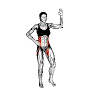 Standing Side Crunch Elbow to Knee demonstration
