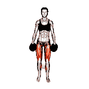 Dumbbell Side Lunge