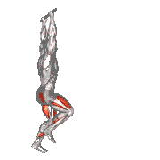 Forward Pulse Lunge with Hands Overhead