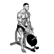 Lever Gripper Hands (Plate Loaded)