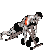 Dumbbell Prone Rear Delt Swing