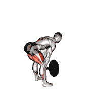 Landmine Romanian Deadlift