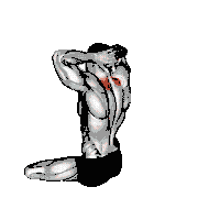 Seated Neck Stretch demonstration