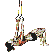 Suspender Bent-Knee Inverted Row demonstration