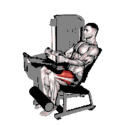 Lever Seated Leg Extension