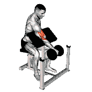 Dumbbell One-Arm Reverse Preacher Curl