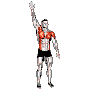 Standing Swimmer