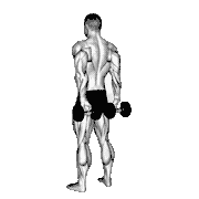 Dumbbell Behind Back Finger Curl