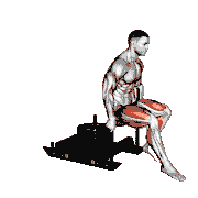 Power Sled Backward Push