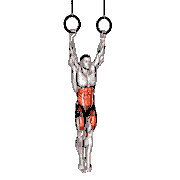 Ring Hanging Leg Hip Raise