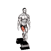 Lateral Step-Up