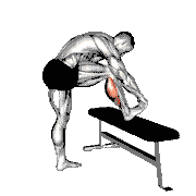 Standing Gastrocnemius Calf Stretch