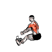Cable Elevated Row