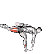 Single Leg Deadlift with Knee Lift