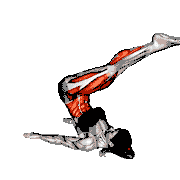 Corkscrew