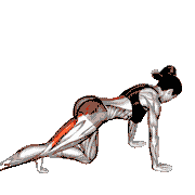 Kneeling Back Leg Lift Curl