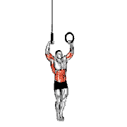 Muscle-Up