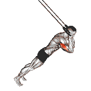 Ring Triceps Extension