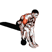 Kettlebell Rear Fly