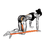 Resistance Band Leg Kickback