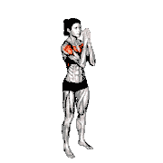Standing Elbow Clap