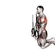 Ring Kneeling Ab Rollout
