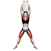 Half Plyo Squat Jack