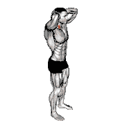 Posterior Neck Isometric