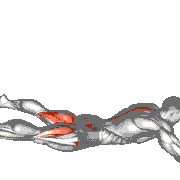 Frog Reverse Hyperextension Tap on Floor