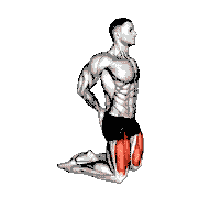 Bodyweight Kneeling Sissy Squat