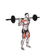 Barbell Behind the Back Push Press demonstration