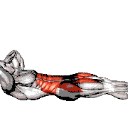 Lying Knee Tuck