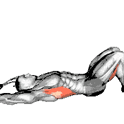 Pelvic Tilt Into Bridge