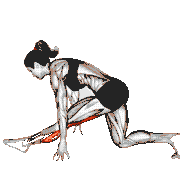 Single Leg Calf Stretch