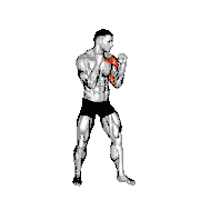 Boxing Jab